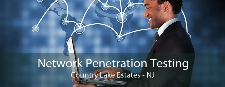 Network Penetration Testing Country Lake Estates - NJ