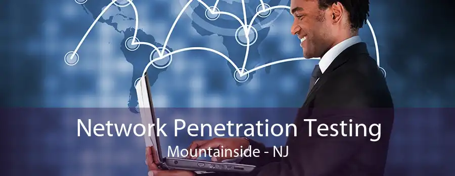 Network Penetration Testing Mountainside - NJ