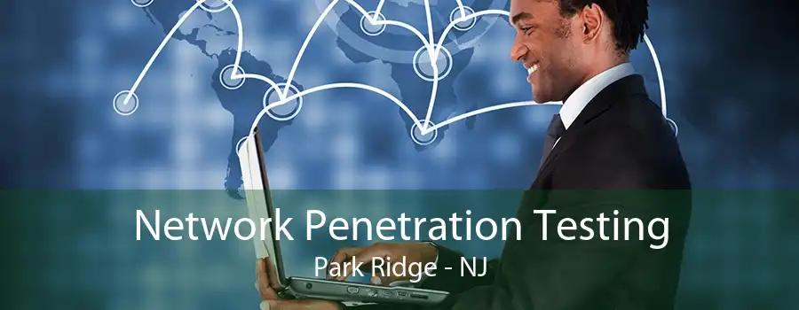 Network Penetration Testing Park Ridge - NJ