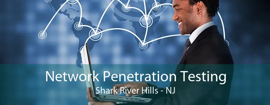 Network Penetration Testing Shark River Hills - NJ