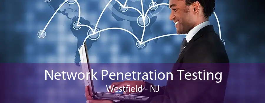 Network Penetration Testing Westfield - NJ
