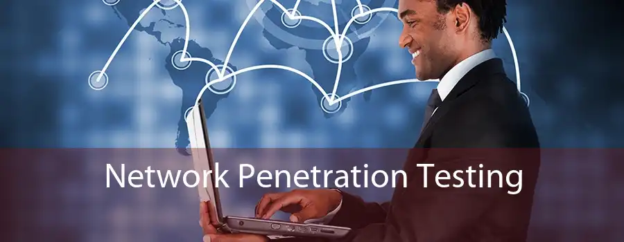 Network Penetration Testing 