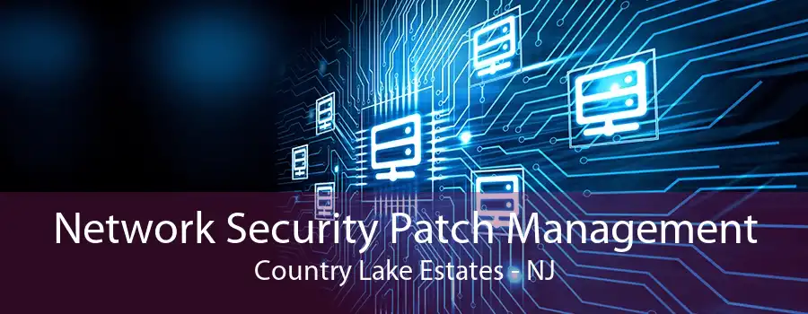 Network Security Patch Management Country Lake Estates - NJ