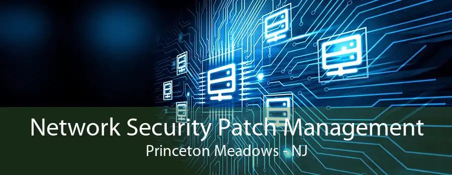 Network Security Patch Management Princeton Meadows - NJ