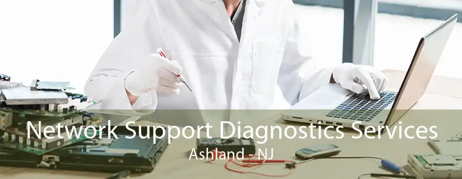 Network Support Diagnostics Services Ashland - NJ