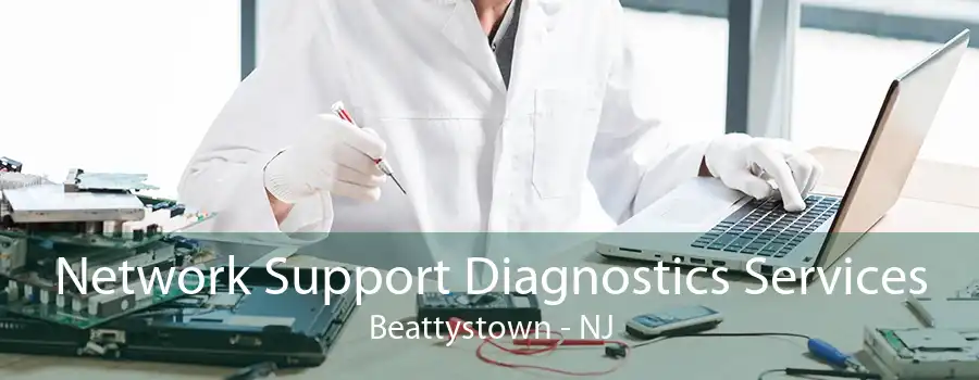 Network Support Diagnostics Services Beattystown - NJ