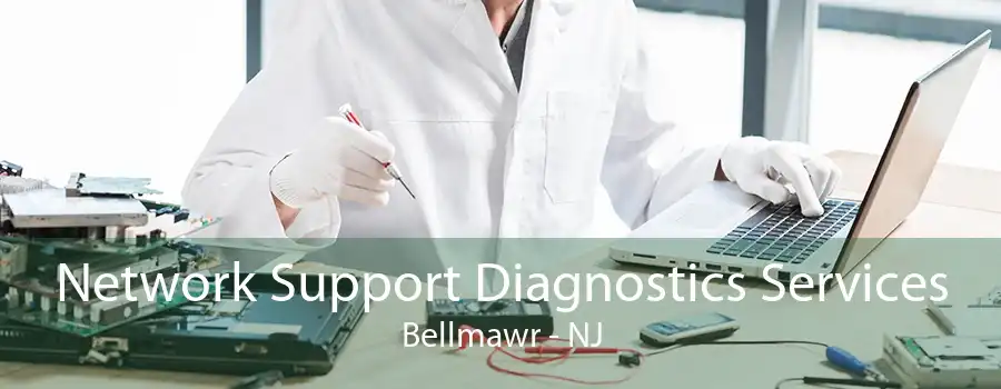 Network Support Diagnostics Services Bellmawr - NJ