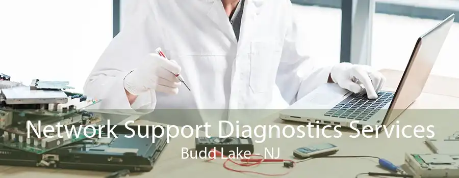 Network Support Diagnostics Services Budd Lake - NJ