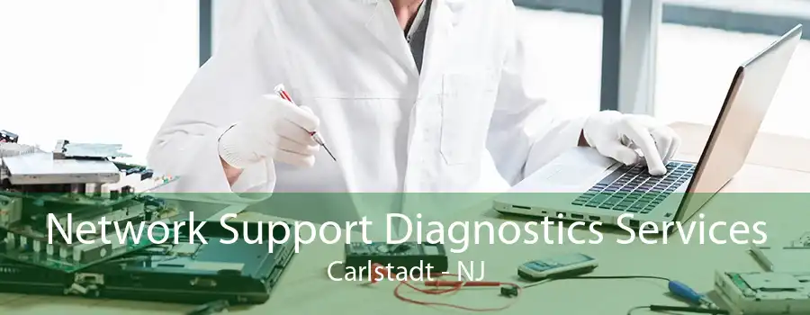 Network Support Diagnostics Services Carlstadt - NJ