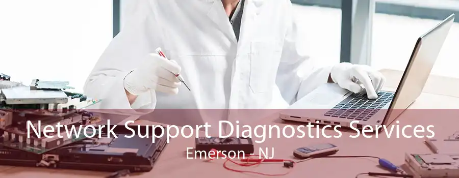 Network Support Diagnostics Services Emerson - NJ