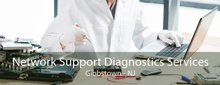 Network Support Diagnostics Services Gibbstown - NJ