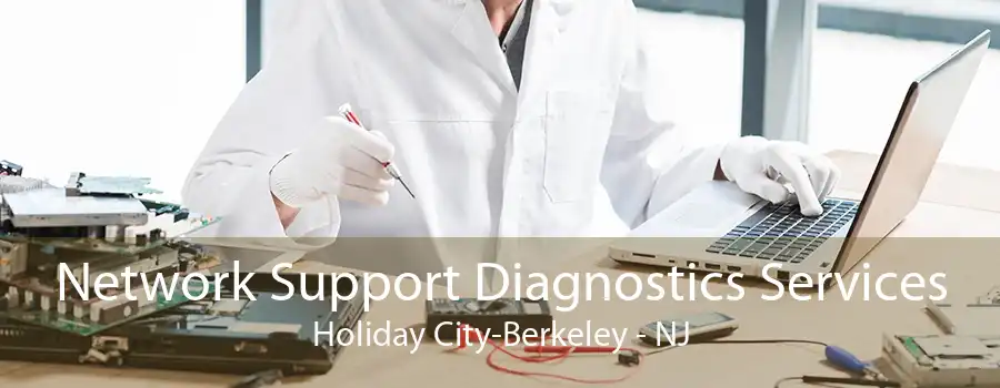 Network Support Diagnostics Services Holiday City-Berkeley - NJ