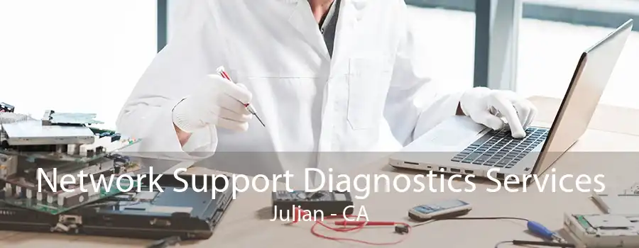 Network Support Diagnostics Services Julian - CA