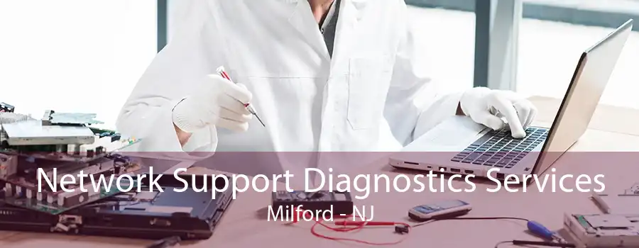 Network Support Diagnostics Services Milford - NJ