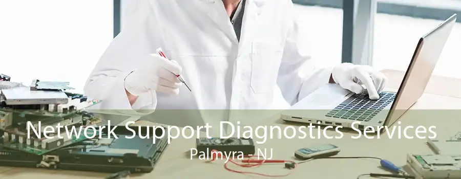 Network Support Diagnostics Services Palmyra - NJ
