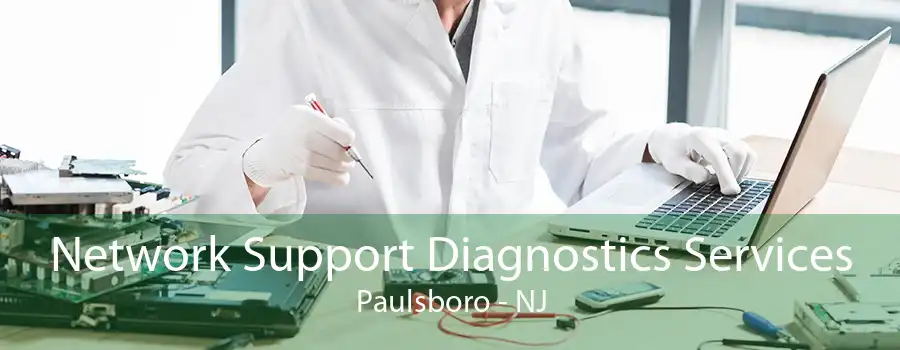 Network Support Diagnostics Services Paulsboro - NJ