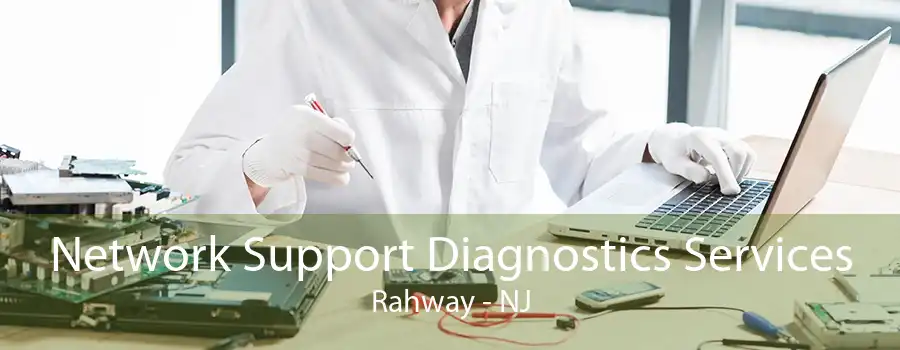 Network Support Diagnostics Services Rahway - NJ