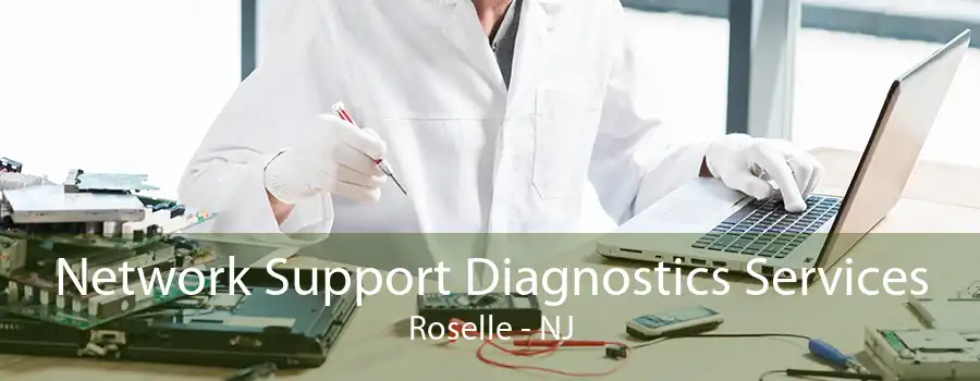 Network Support Diagnostics Services Roselle - NJ