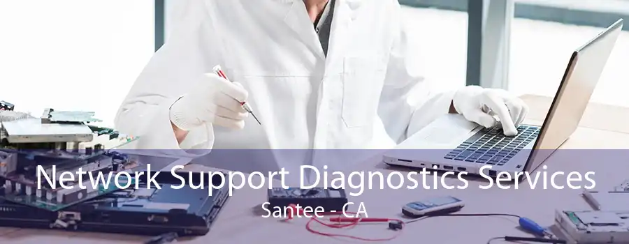 Network Support Diagnostics Services Santee - CA