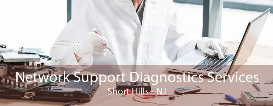 Network Support Diagnostics Services Short Hills - NJ
