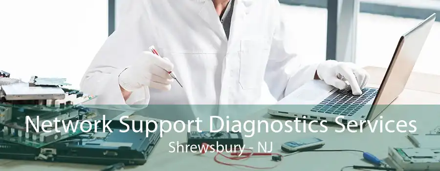 Network Support Diagnostics Services Shrewsbury - NJ