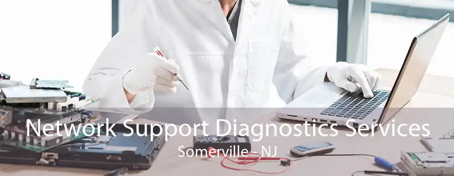Network Support Diagnostics Services Somerville - NJ