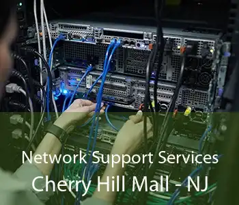 Network Support Services Cherry Hill Mall - NJ