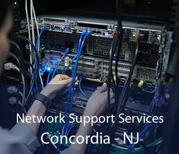 Network Support Services Concordia - NJ