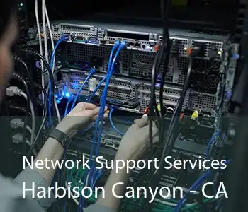 Network Support Services Harbison Canyon - CA