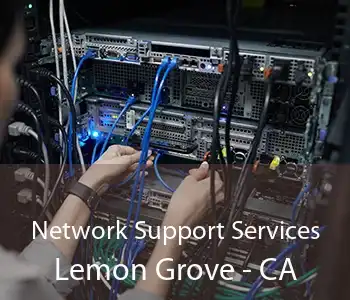 Network Support Services Lemon Grove - CA