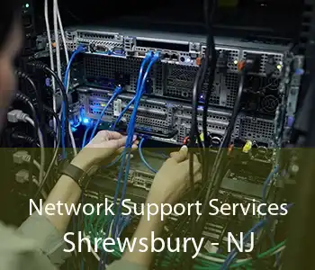Network Support Services Shrewsbury - NJ