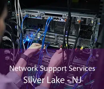 Network Support Services Silver Lake - NJ