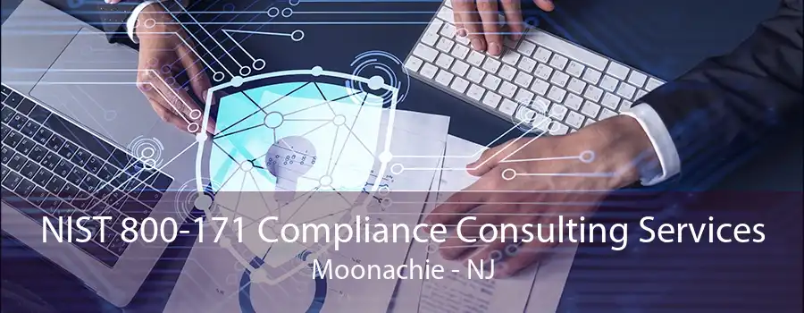 NIST 800-171 Compliance Consulting Services Moonachie - NJ