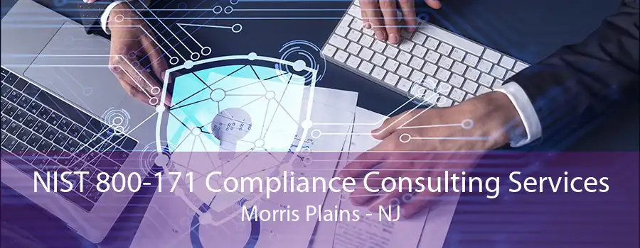 NIST 800-171 Compliance Consulting Services Morris Plains - NJ