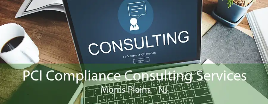 PCI Compliance Consulting Services Morris Plains - NJ