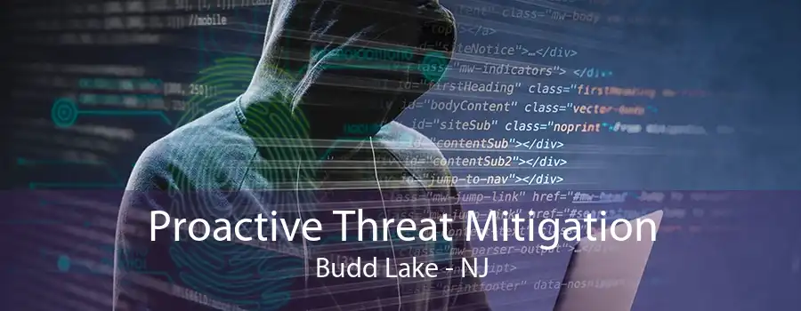 Proactive Threat Mitigation Budd Lake - NJ