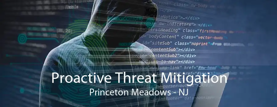 Proactive Threat Mitigation Princeton Meadows - NJ