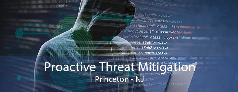 Proactive Threat Mitigation Princeton - NJ