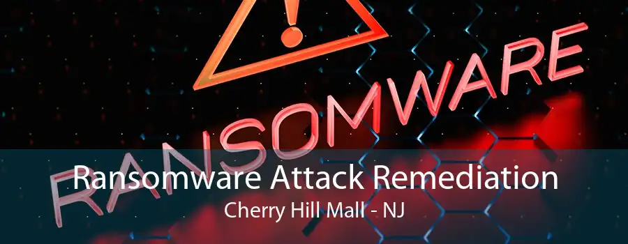 Ransomware Attack Remediation Cherry Hill Mall - NJ