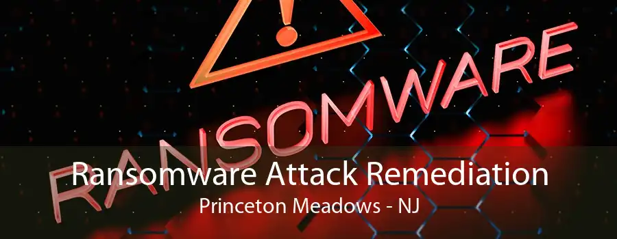 Ransomware Attack Remediation Princeton Meadows - NJ