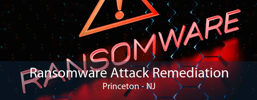 Ransomware Attack Remediation Princeton - NJ