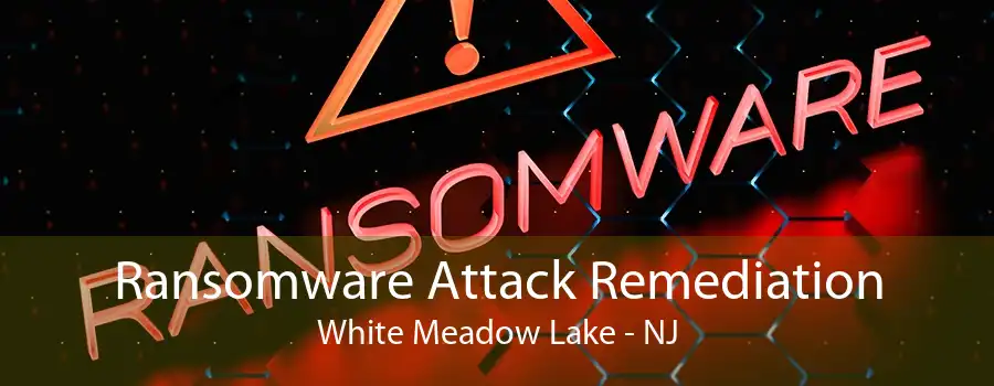 Ransomware Attack Remediation White Meadow Lake - NJ