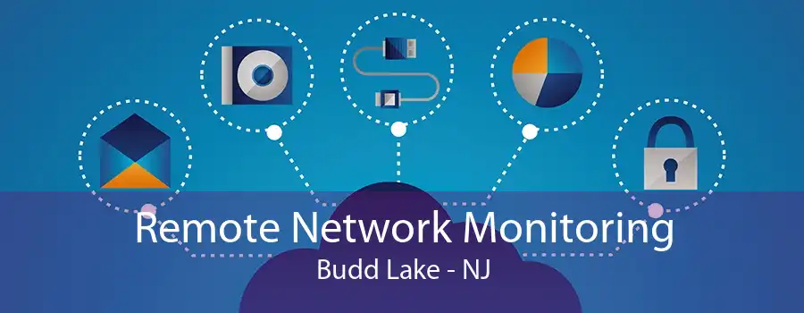 Remote Network Monitoring Budd Lake - NJ