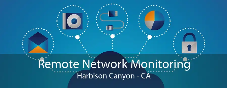 Remote Network Monitoring Harbison Canyon - CA