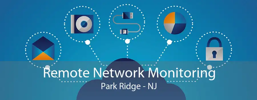 Remote Network Monitoring Park Ridge - NJ