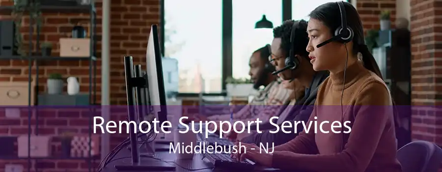Remote Support Services Middlebush - NJ