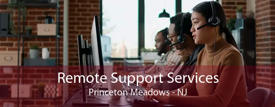 Remote Support Services Princeton Meadows - NJ