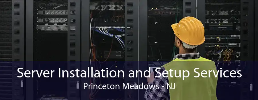 Server Installation and Setup Services Princeton Meadows - NJ