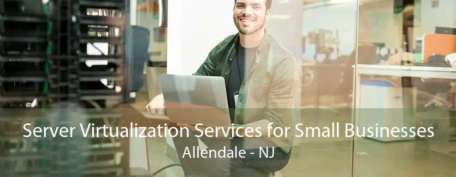 Server Virtualization Services for Small Businesses Allendale - NJ