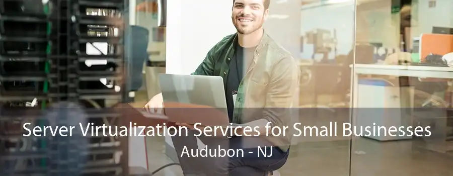 Server Virtualization Services for Small Businesses Audubon - NJ